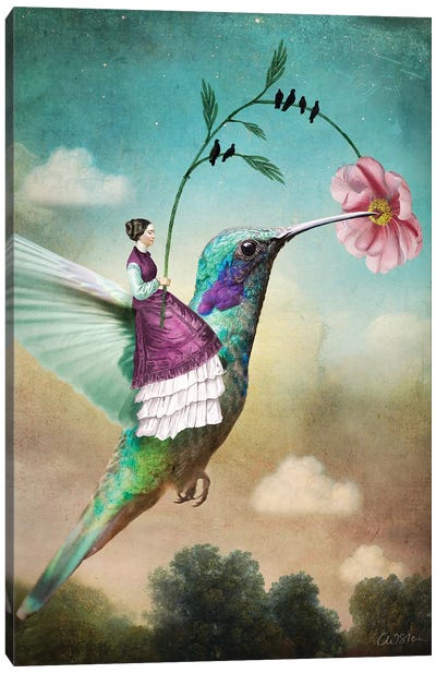 Of Wands Canvas Art Print - Hummingbird Art