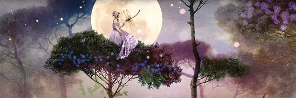 Floral & Botanical: Dragonfly by Catrin Welz-Stein