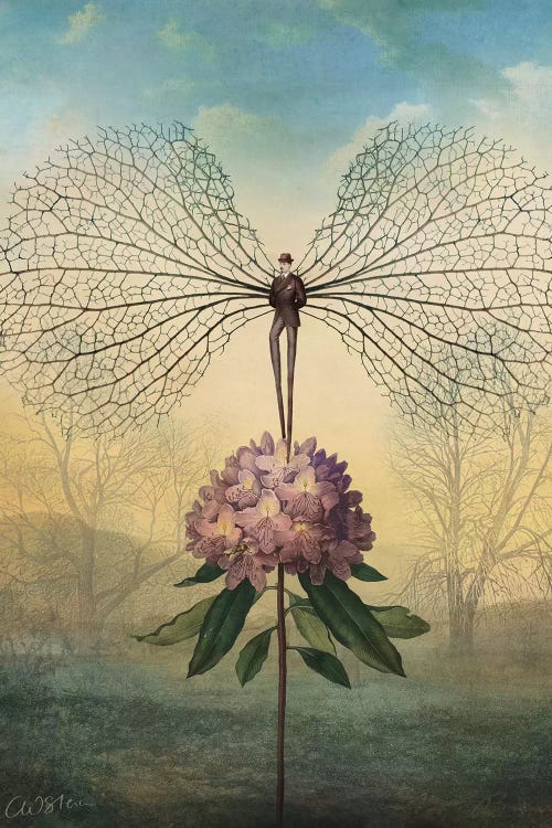 Morning Flight by Catrin Welz-Stein wall art