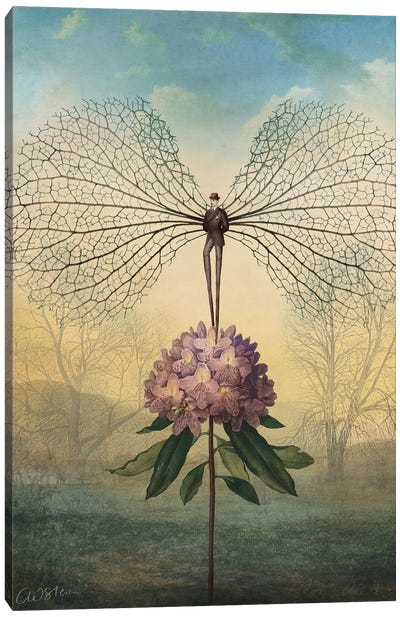 Morning Flight Canvas Art Print - The Secret Lives of Fairies