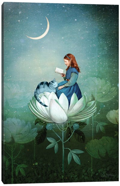 Blue Stories Canvas Art Print - Lotuses
