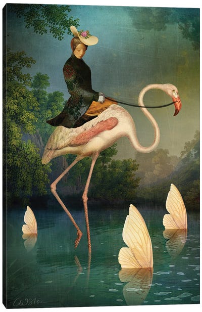 Le Passage, Catrin Welz-Stein Canvas Art Print - Bird Art