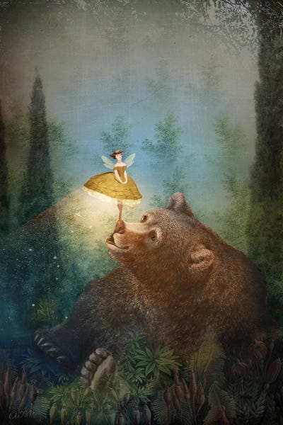 Bears: A Fairytale Forest by Catrin Welz-Stein