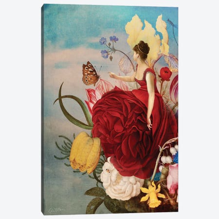 The Bouquet Canvas Print #CWS151} by Catrin Welz-Stein Canvas Art