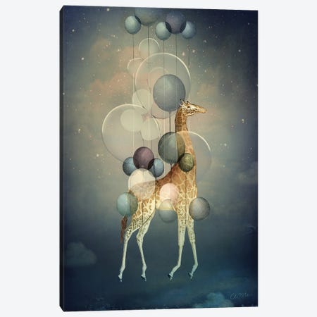 Flying High Canvas Print #CWS153} by Catrin Welz-Stein Canvas Art