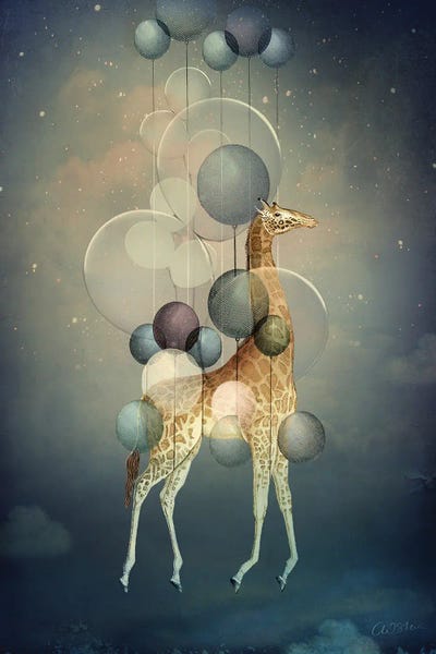 Balloons: Flying High by Catrin Welz-Stein