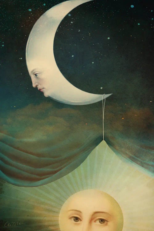 Rise And Shine by Catrin Welz-Stein wall art