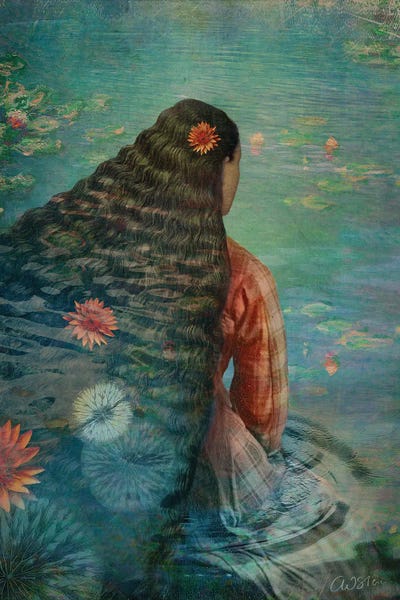 Dreamer: Waterlily II by Catrin Welz-Stein