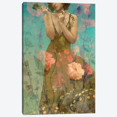 In The Meadow Canvas Print #CWS156} by Catrin Welz-Stein Canvas Art Print
