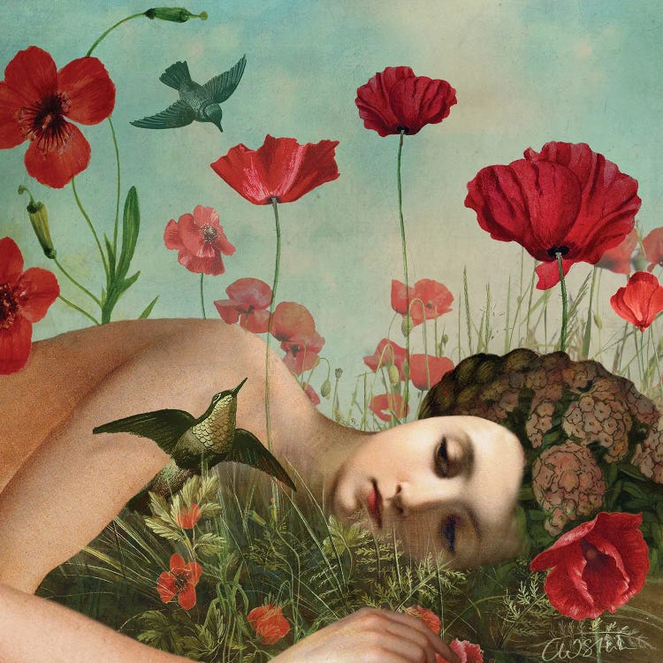 In The Poppy Field by Catrin Welz-Stein wall art