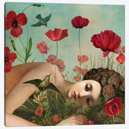 In The Poppy Field Canvas Print #CWS157} by Catrin Welz-Stein Canvas Print