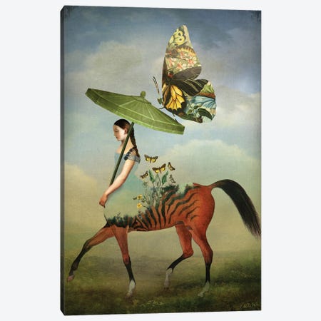 Papillons Canvas Print #CWS158} by Catrin Welz-Stein Canvas Wall Art