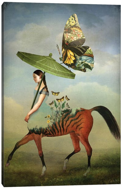Papillons Canvas Art Print - Umbrella Art