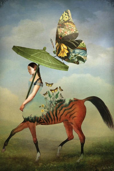 Umbrellas: Papillons by Catrin Welz-Stein