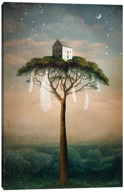 Dreamhouse Canvas Art Print - Catrin Welz-Stein