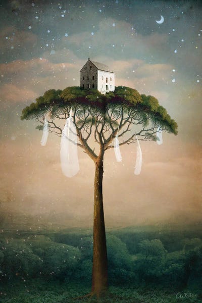 Feathers: Dreamhouse by Catrin Welz-Stein