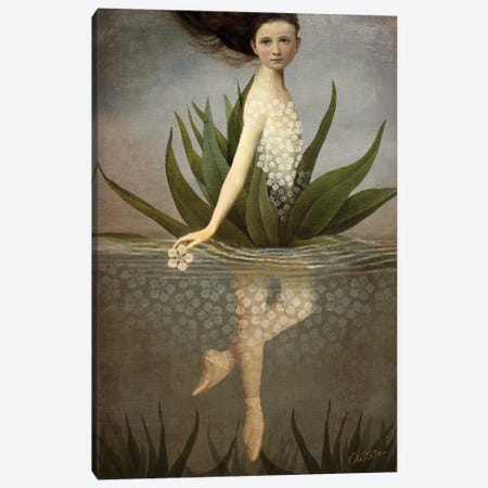 Waterlily Canvas Print #CWS161} by Catrin Welz-Stein Canvas Print