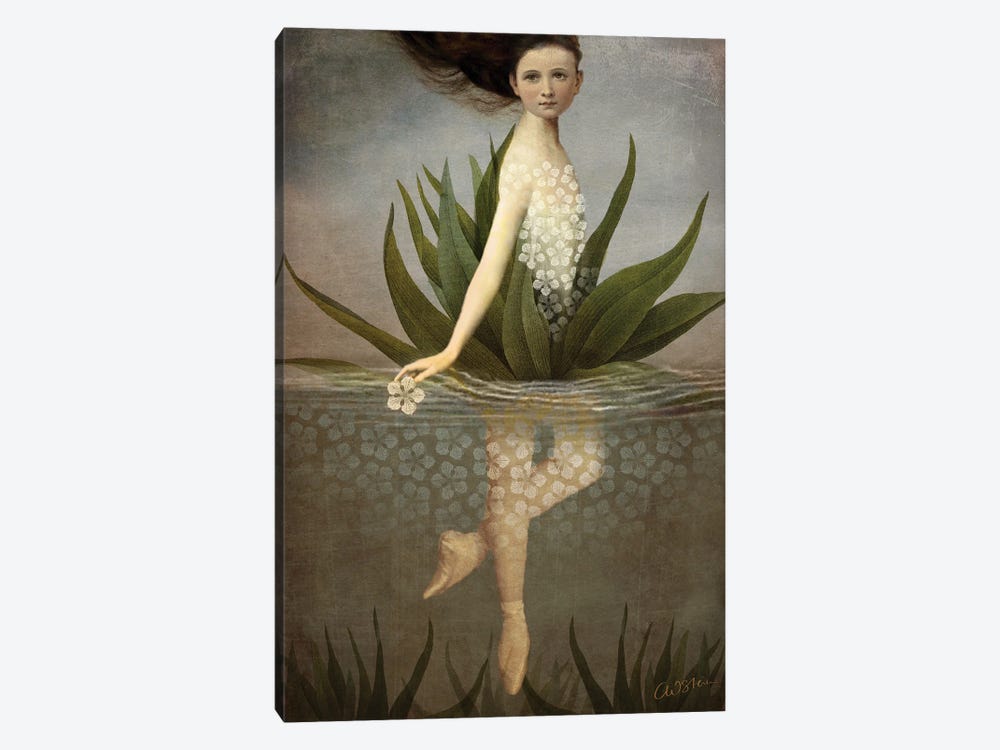 Waterlily by Catrin Welz-Stein 1-piece Canvas Art Print