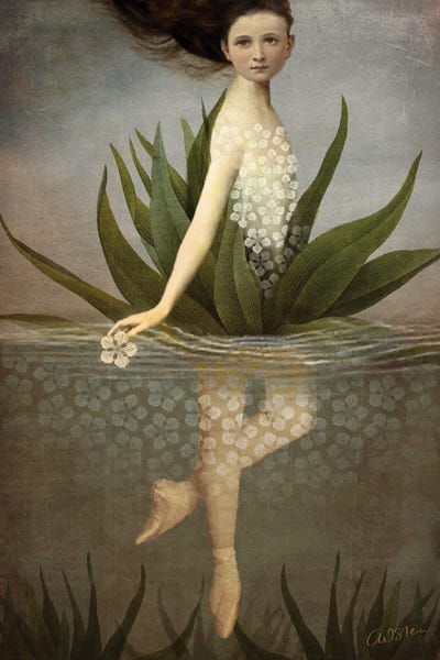 Mesmerizing Digital Artists: Waterlily by Catrin Welz-Stein