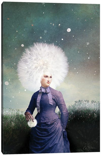 Snowball Canvas Art Print - Catrin Welz-Stein