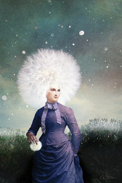 Dandelions: Snowball by Catrin Welz-Stein