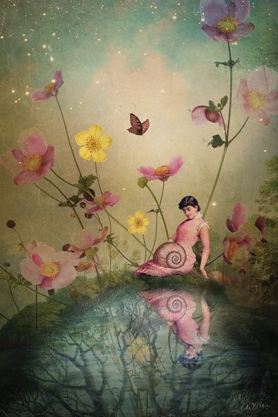 The Secret Lives Of Fairies: At The Pond by Catrin Welz-Stein