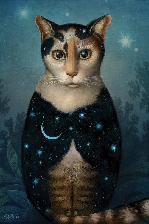 Midnight Cat by Catrin Welz-Stein wall art