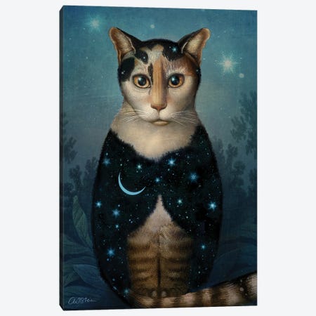 Midnight Cat Canvas Print #CWS170} by Catrin Welz-Stein Canvas Artwork
