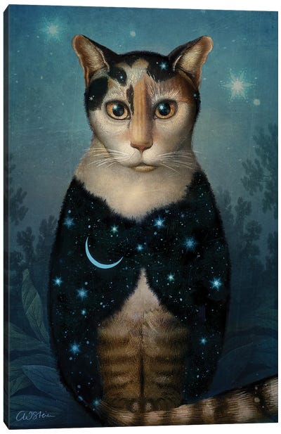 Midnight Cat Canvas Art Print - Surrealism Art