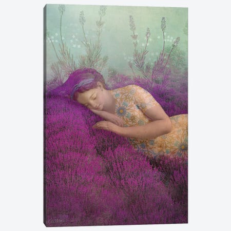 True Lavender Canvas Print #CWS174} by Catrin Welz-Stein Art Print