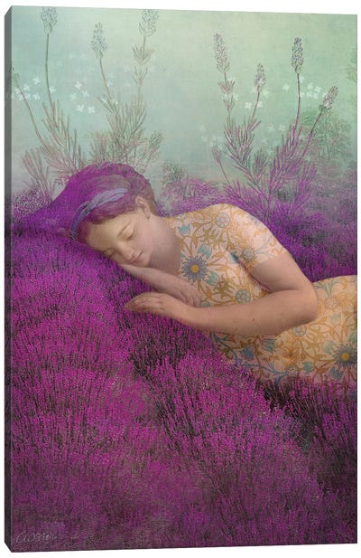 True Lavender Canvas Art Print - Lavender Art
