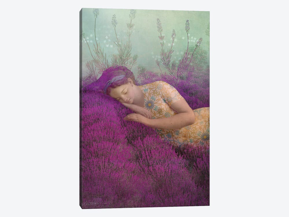 True Lavender by Catrin Welz-Stein 1-piece Canvas Art Print