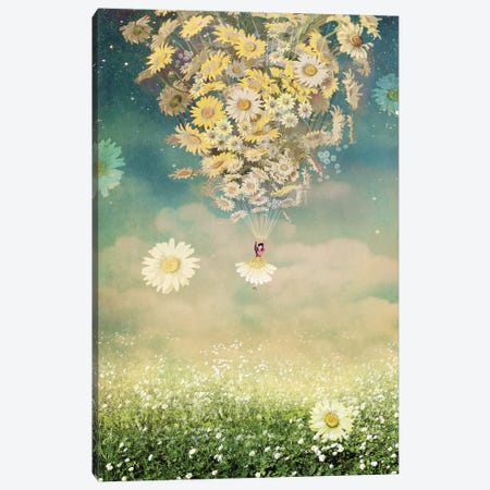 Daisy Canvas Print #CWS176} by Catrin Welz-Stein Art Print