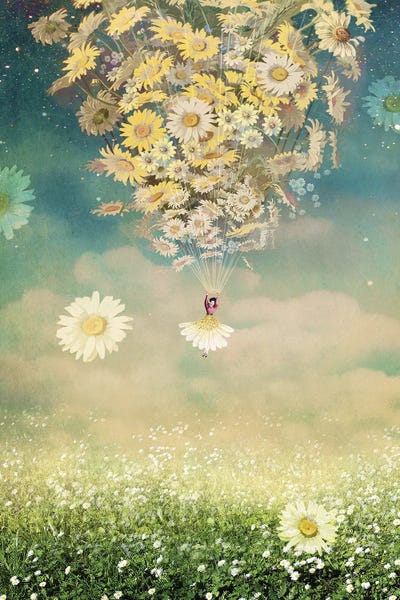 Dreamer: Daisy by Catrin Welz-Stein