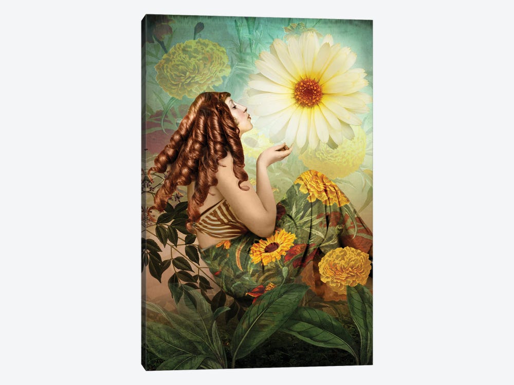 Marigold by Catrin Welz-Stein 1-piece Canvas Wall Art