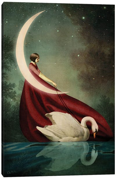 Moonlight Shadows Canvas Art Print - Swan Art