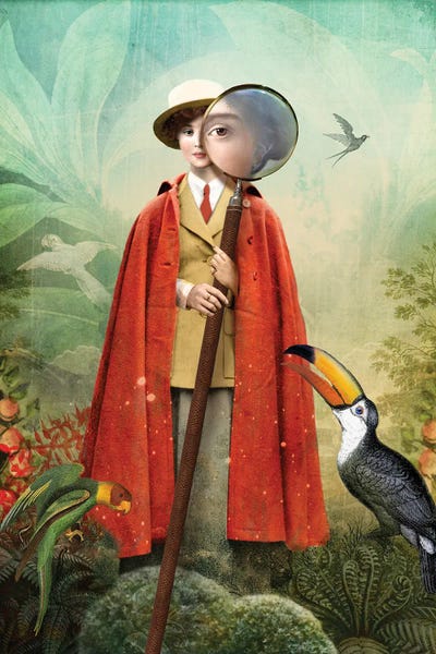 Parrots: Page Of Wands by Catrin Welz-Stein