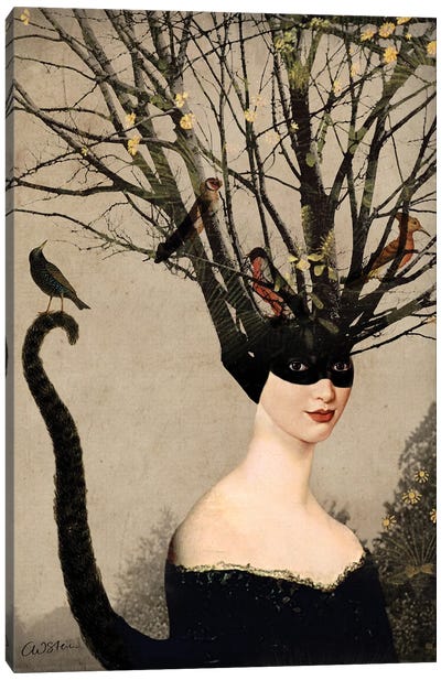 Catwoman Canvas Art Print - Catrin Welz-Stein