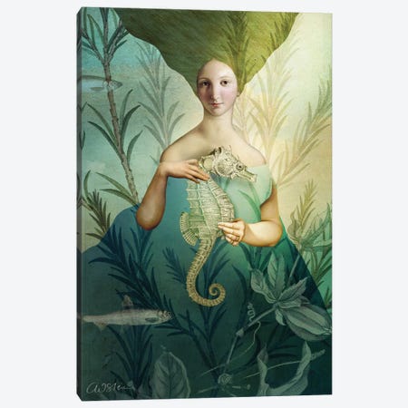 The Mermaid Canvas Print #CWS201} by Catrin Welz-Stein Canvas Wall Art