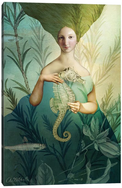 The Mermaid Canvas Art Print - Seahorse Art