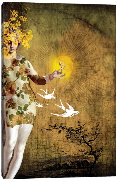 The Sun II Canvas Art Print - Dove & Pigeon Art
