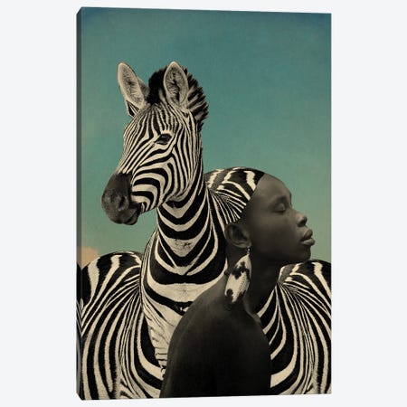 Zebra Canvas Print #CWS203} by Catrin Welz-Stein Canvas Art