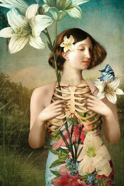 Butterflies and Flowers: Death by Catrin Welz-Stein