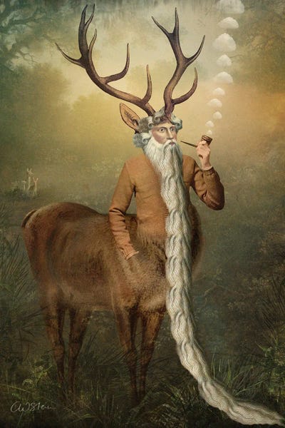 Similar To Frida Kahlo: Ten Of Pentacles-New by Catrin Welz-Stein