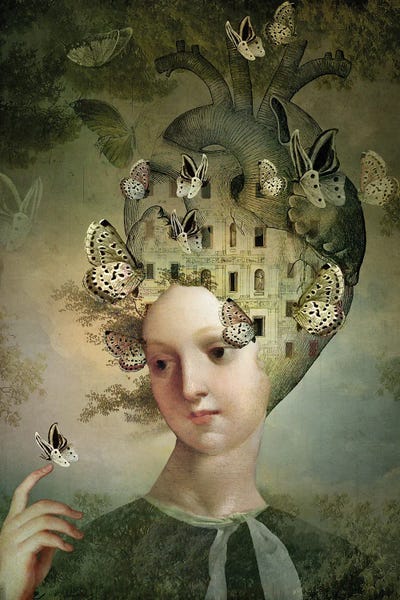 Insects: Heartfelt Thoughts by Catrin Welz-Stein