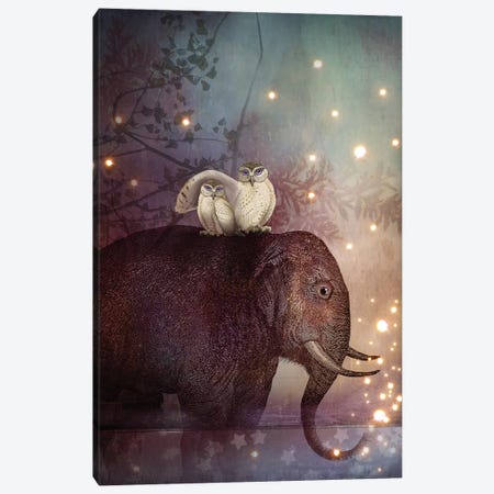 Riding Through The Night Canvas Print #CWS21} by Catrin Welz-Stein Canvas Wall Art