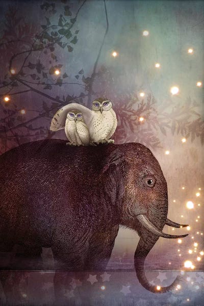 Kids Art Boys: Riding Through The Night by Catrin Welz-Stein