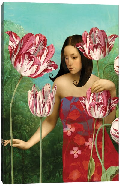 Tulips Canvas Art Print - Catrin Welz-Stein