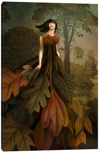 Autumn Leaves Canvas Art Print - Catrin Welz-Stein