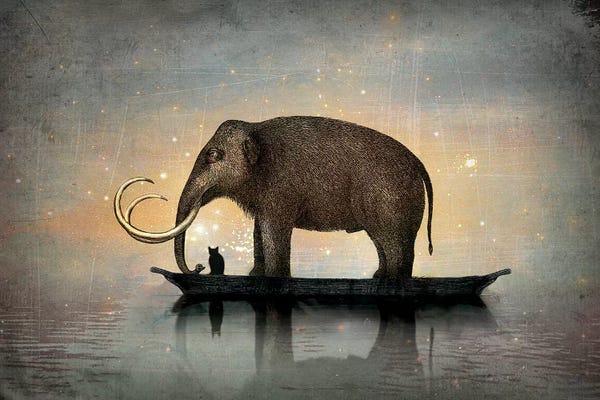Mammoths